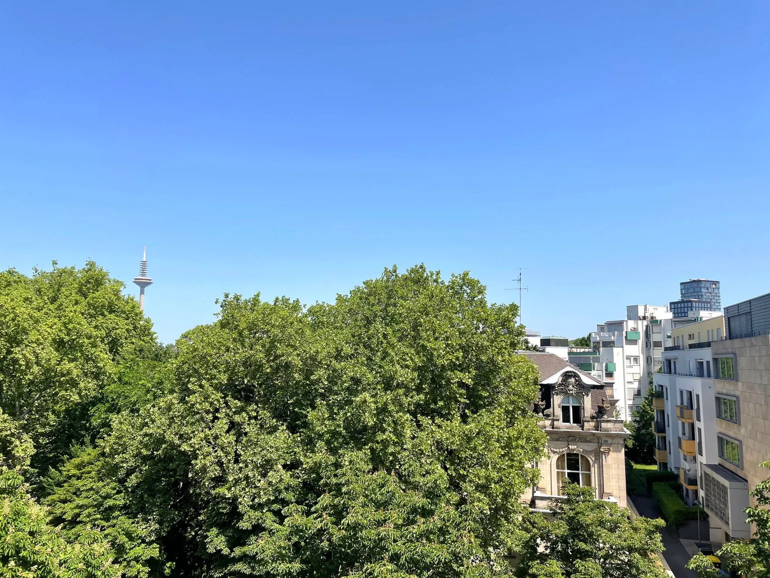 Ausblick