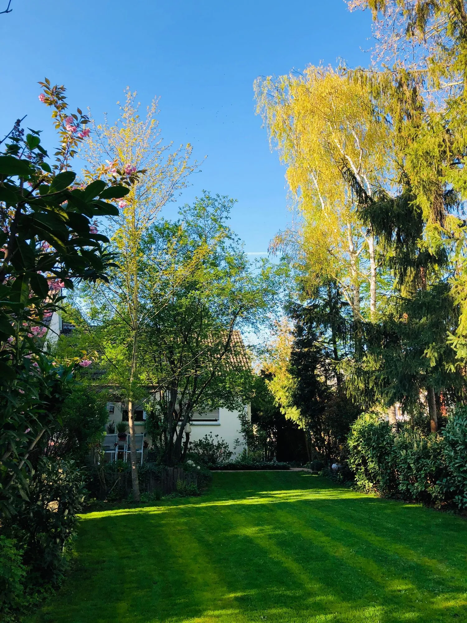 Gartenansicht