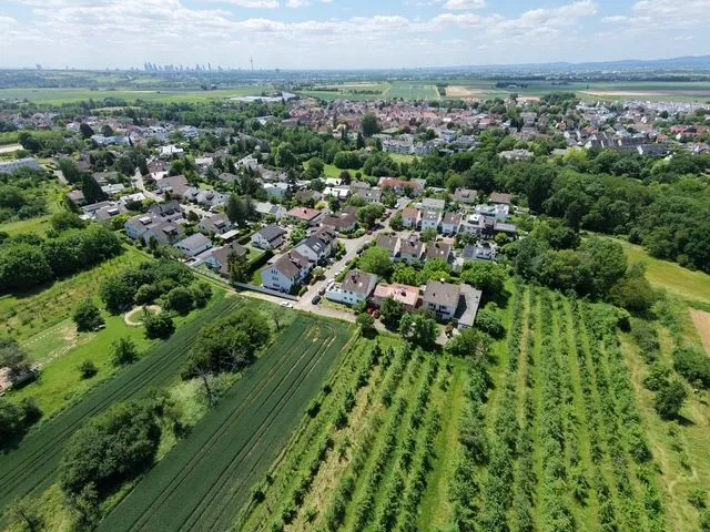 Vogelperspektive