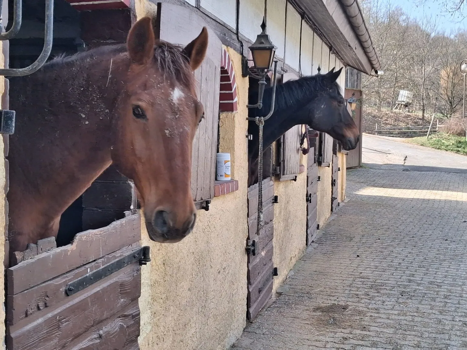 Impressionen