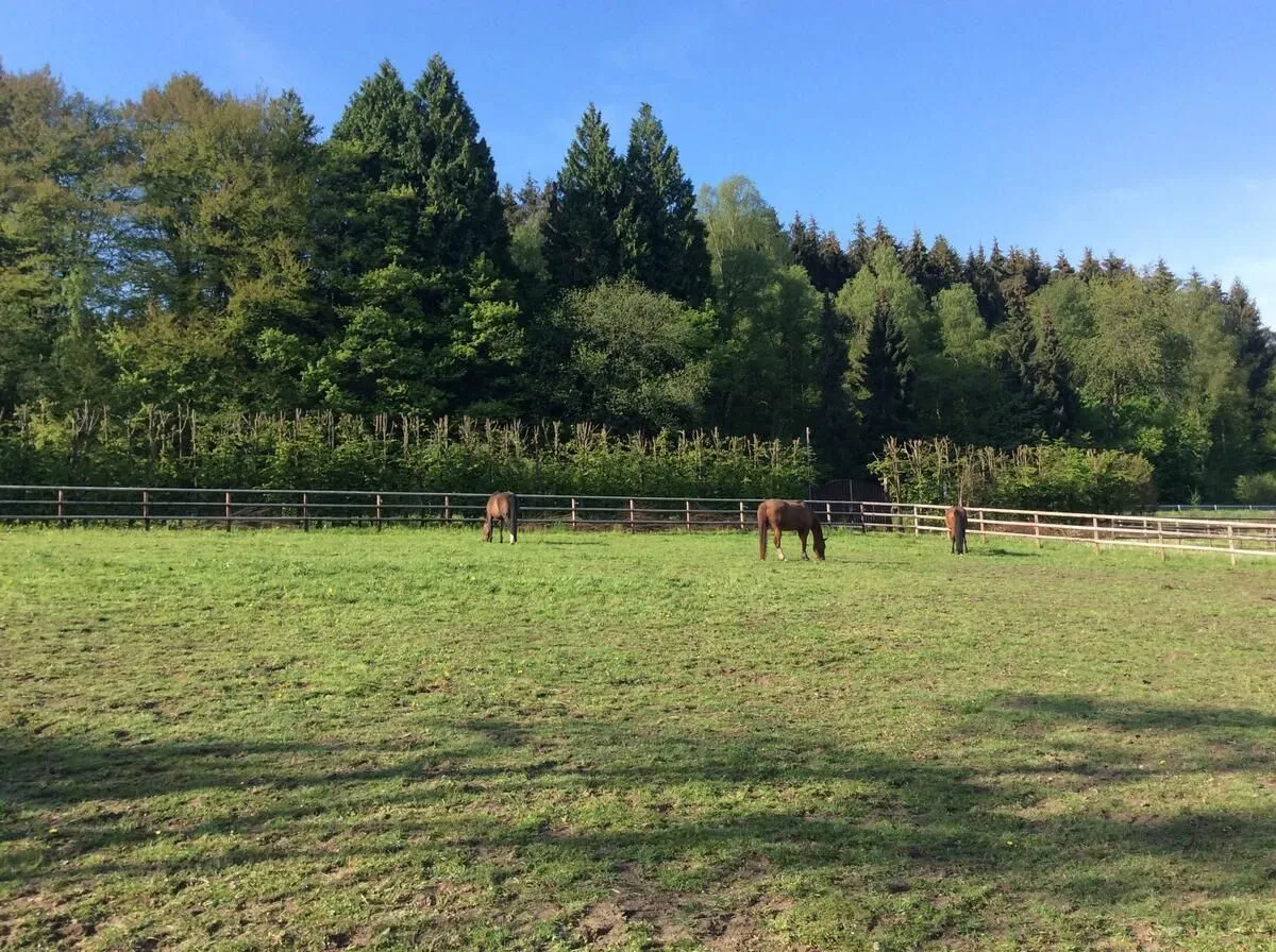 Impressionen