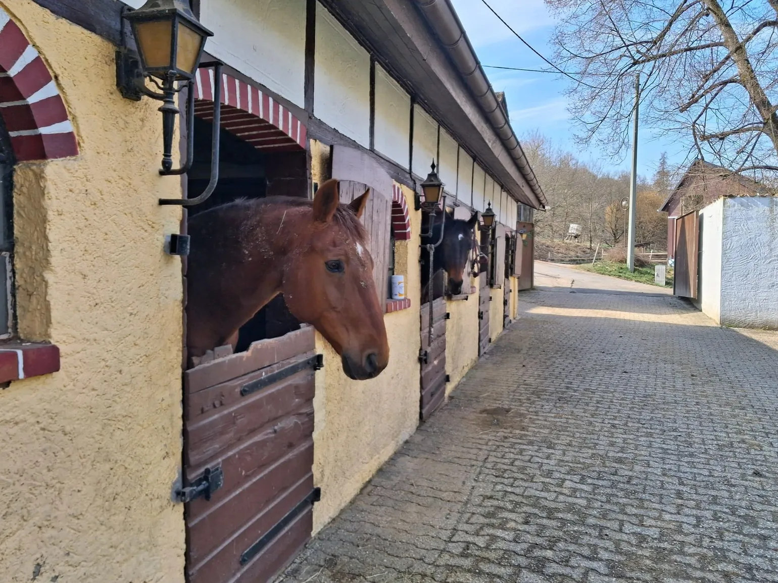 Impressionen