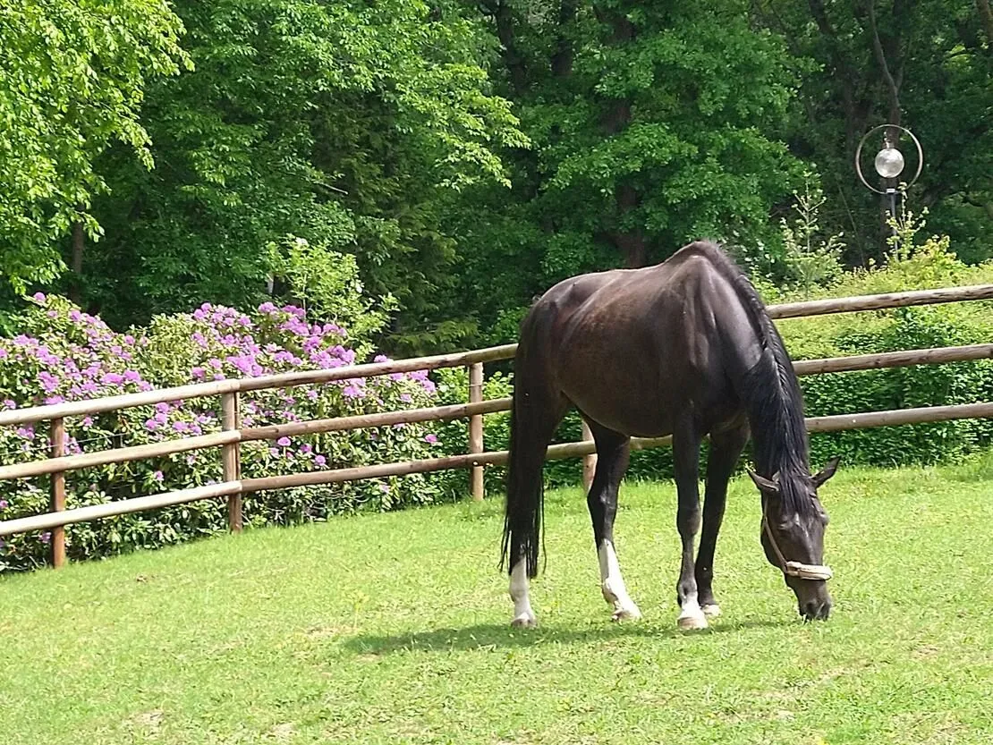 Impressionen