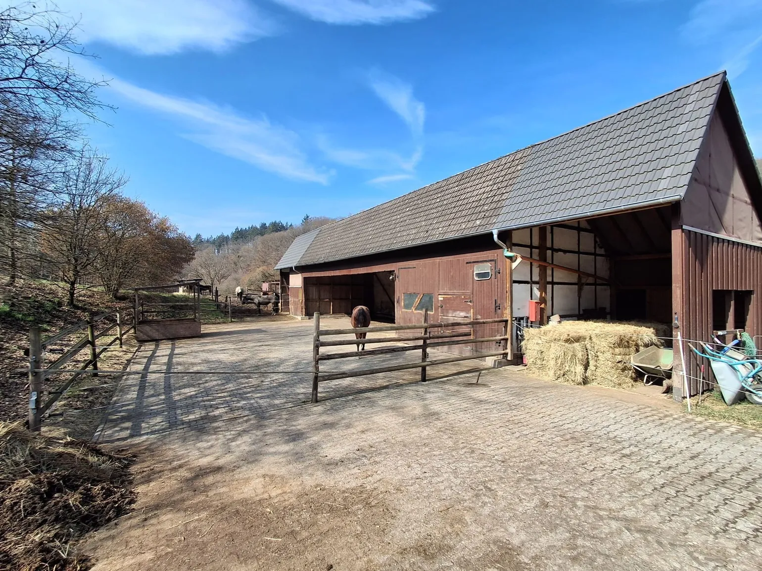 Außenstall mit Freilauf