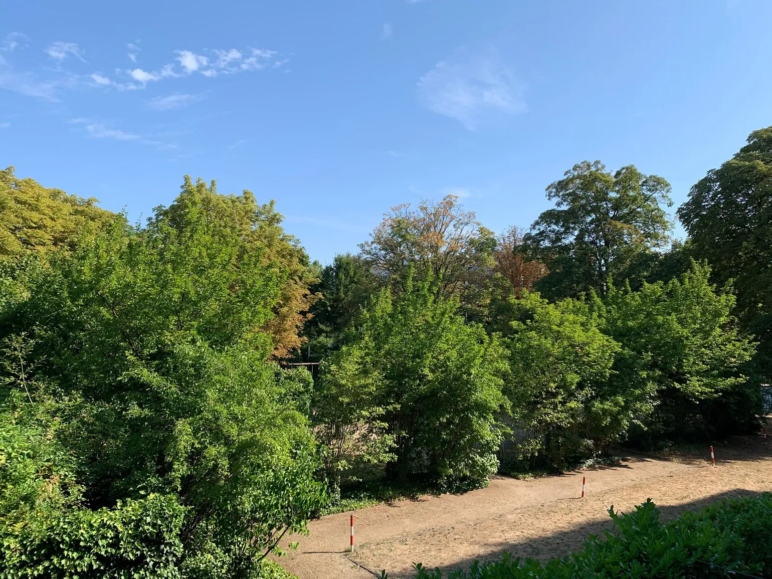 Ausblick