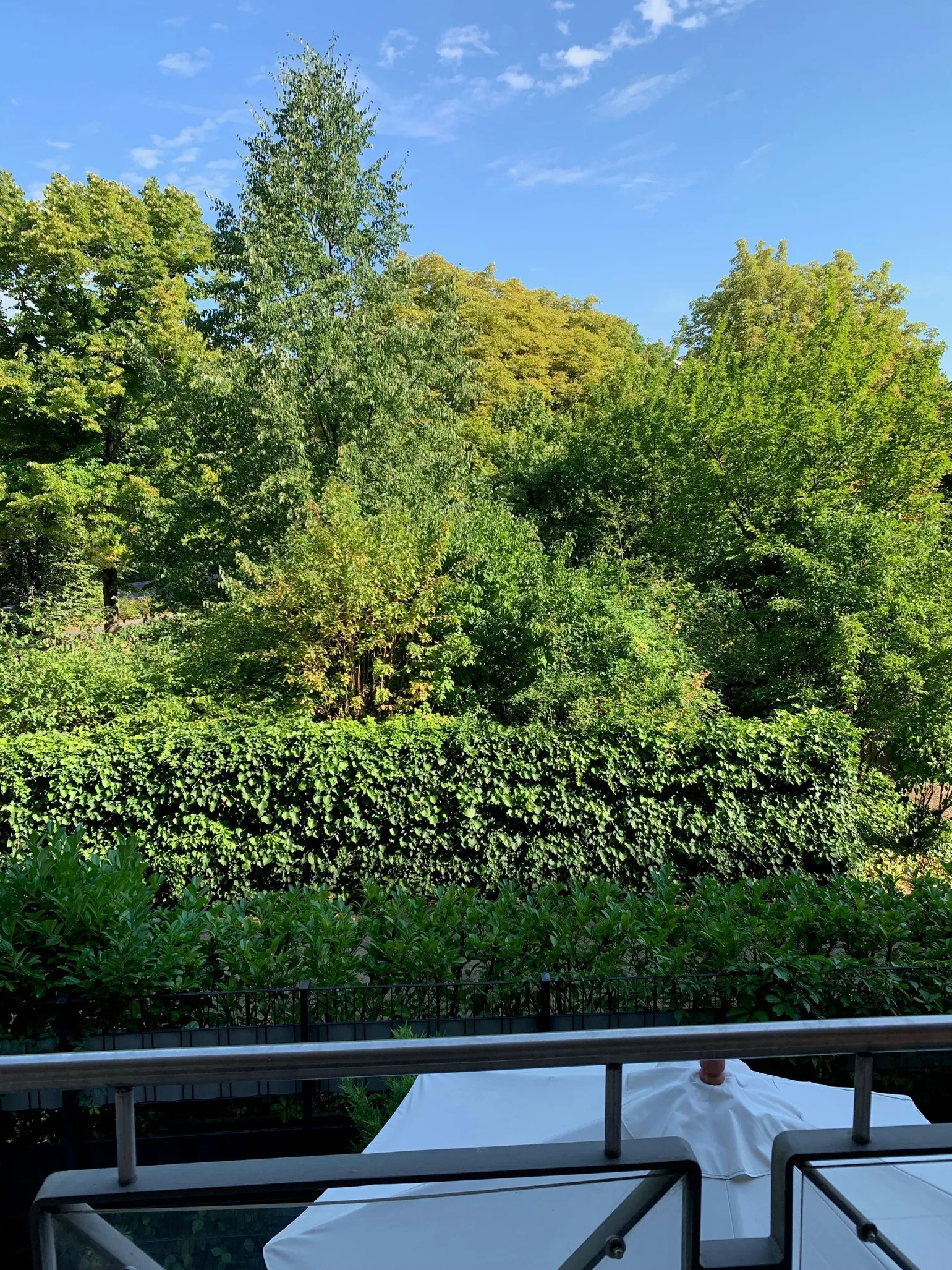 Ausblick