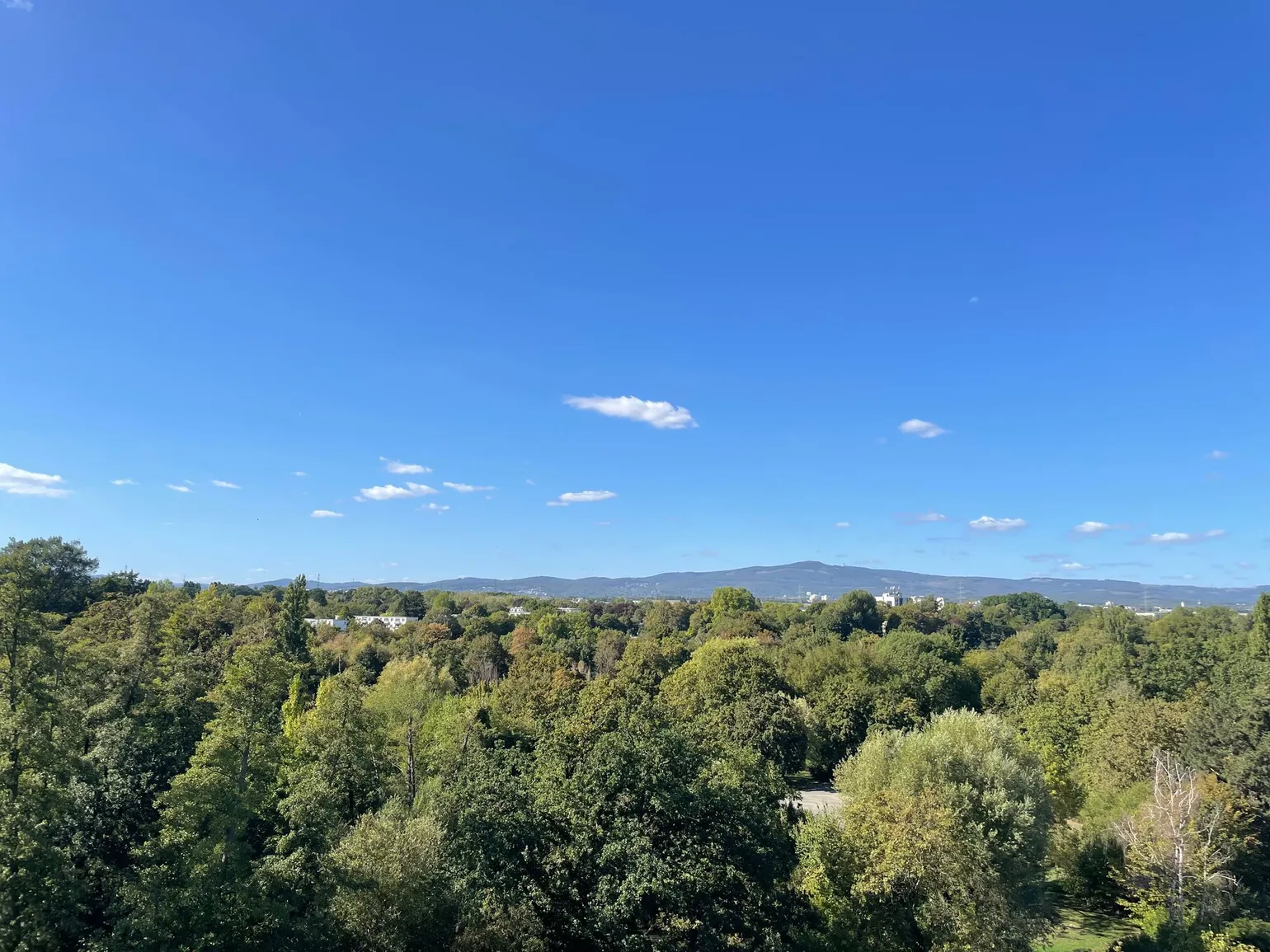 Ausblick