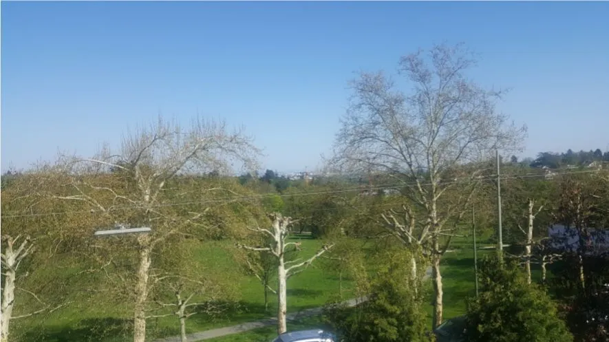 Blick nach Ffm