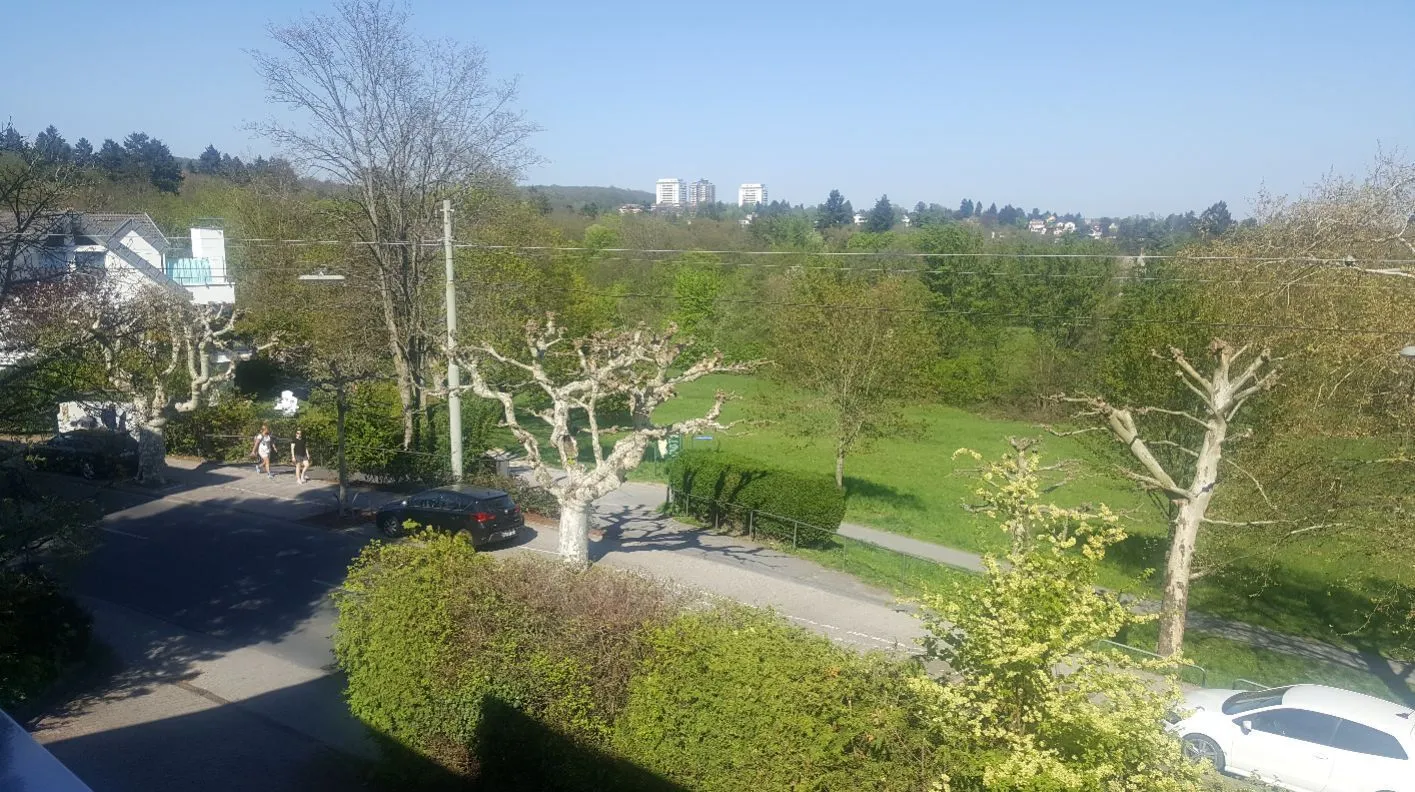 Blick Richtung Viktoriapark