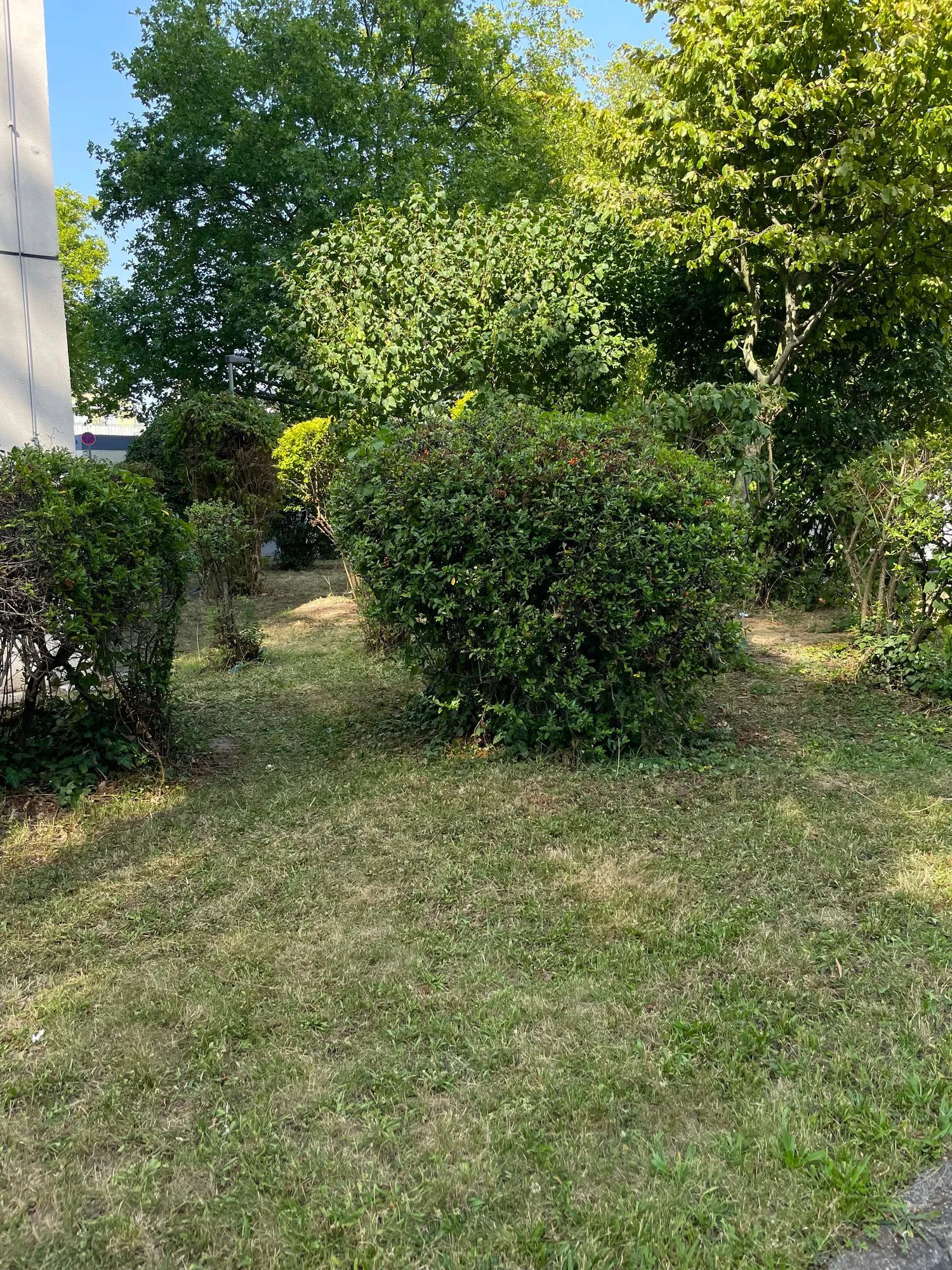 Grundstück